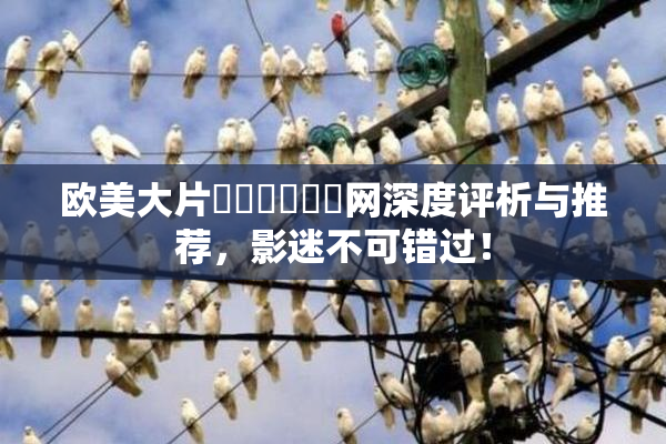 欧美大片❌‌❌‌❌‌网深度评析与推荐，影迷不可错过！