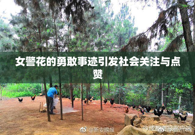 女警花的勇敢事迹引发社会关注与点赞