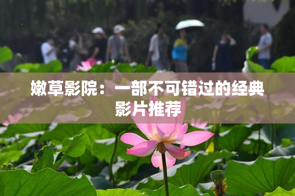 嫩草影院：一部不可错过的经典影片推荐