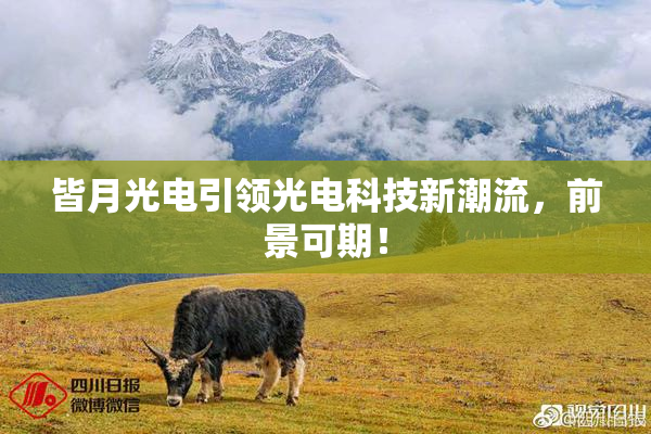 皆月光电引领光电科技新潮流，前景可期！