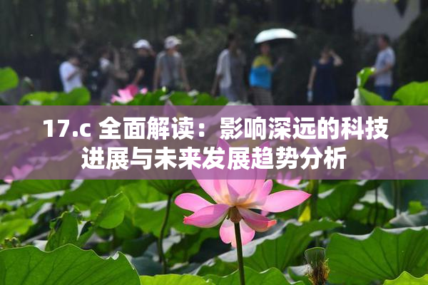 17.c 全面解读：影响深远的科技进展与未来发展趋势分析