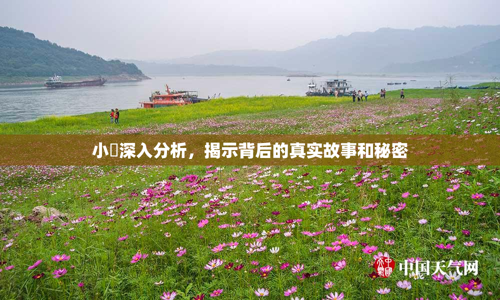 小泬深入分析，揭示背后的真实故事和秘密