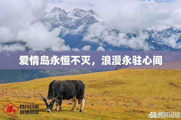 爱情岛永恒不灭，浪漫永驻心间