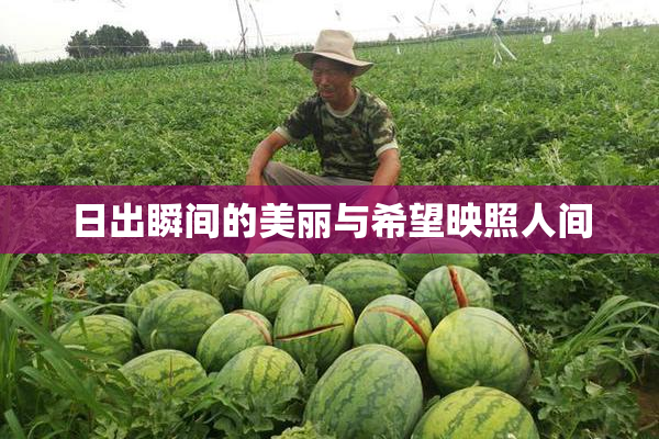 日出瞬间的美丽与希望映照人间
