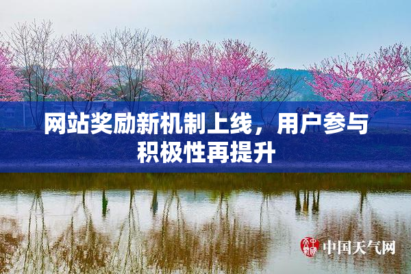 网站奖励新机制上线，用户参与积极性再提升