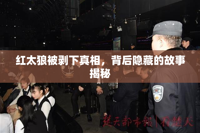 红太狼被剥下真相，背后隐藏的故事揭秘
