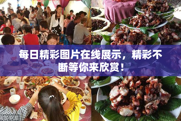 每日精彩图片在线展示，精彩不断等你来欣赏！
