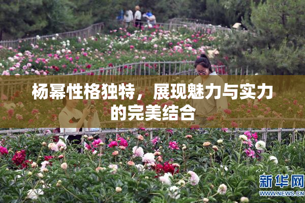 杨幂性格独特，展现魅力与实力的完美结合
