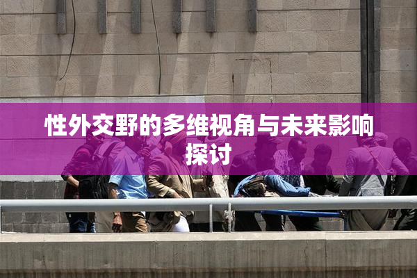 性外交野的多维视角与未来影响探讨