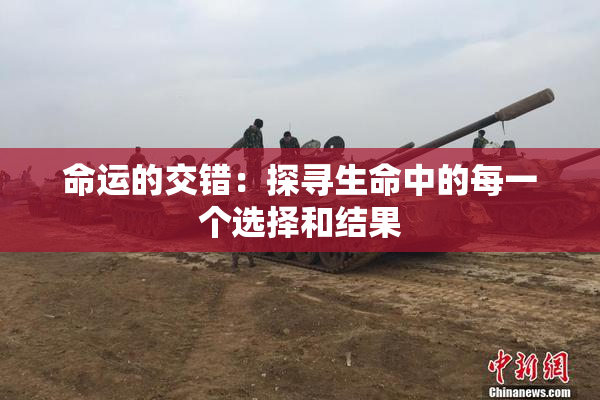 命运的交错：探寻生命中的每一个选择和结果