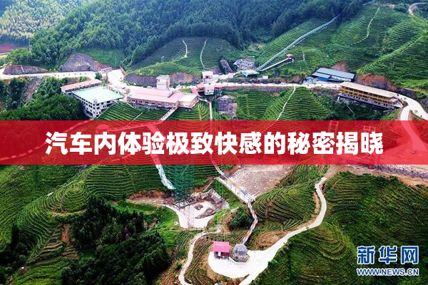 汽车内体验极致快感的秘密揭晓