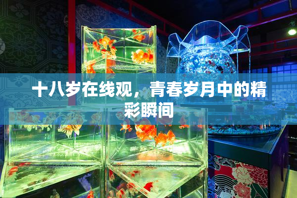 十八岁在线观，青春岁月中的精彩瞬间