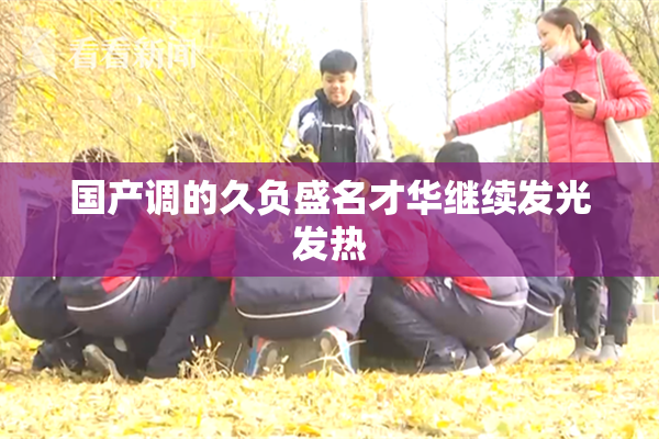 国产调的久负盛名才华继续发光发热