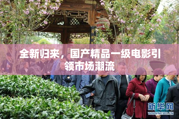 全新归来，国产精品一级电影引领市场潮流