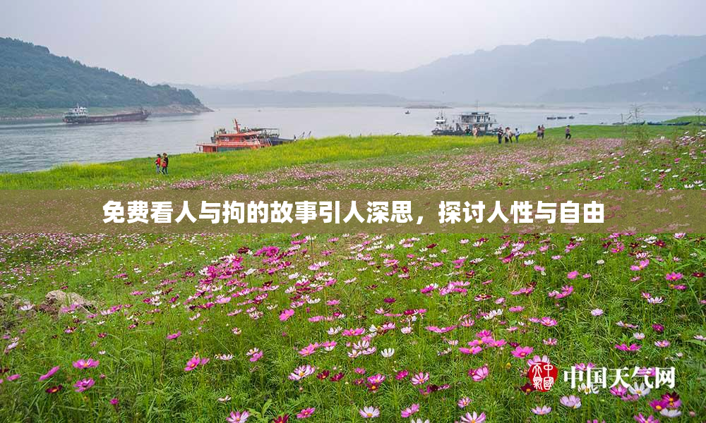 免费看人与拘的故事引人深思，探讨人性与自由