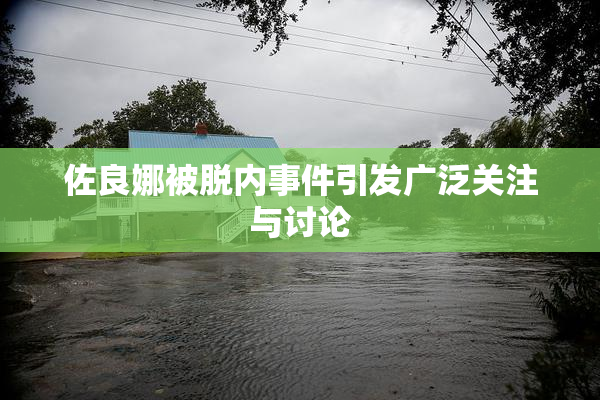 佐良娜被脱内事件引发广泛关注与讨论
