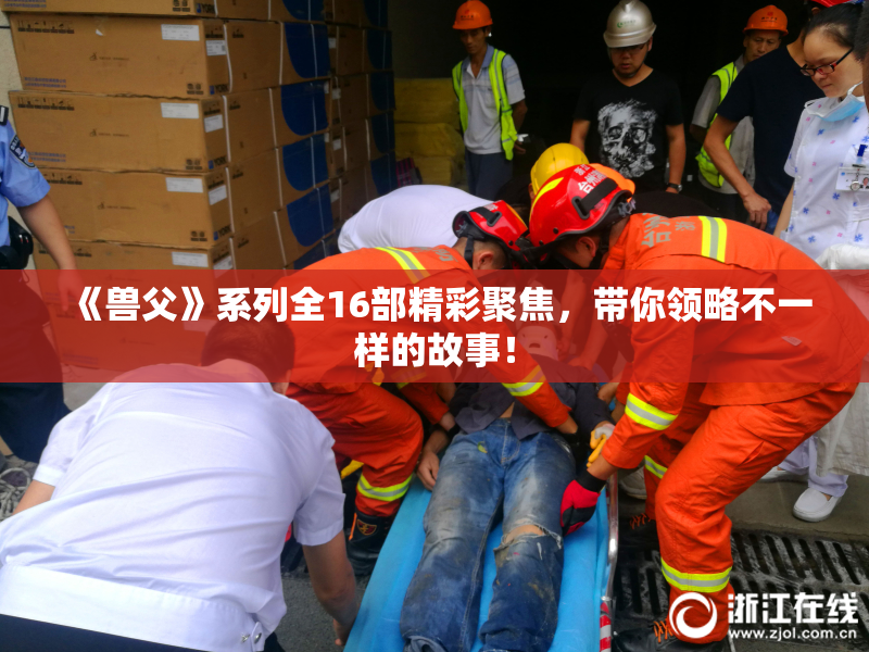 《兽父》系列全16部精彩聚焦，带你领略不一样的故事！