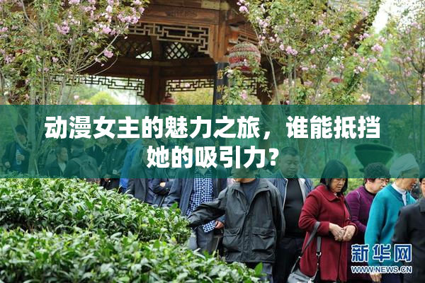 动漫女主的魅力之旅，谁能抵挡她的吸引力？