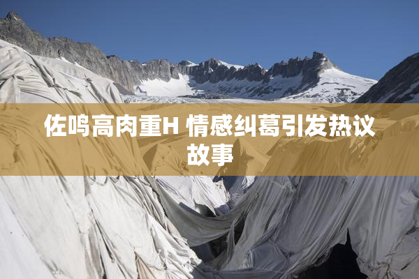 佐鸣高肉重H 情感纠葛引发热议故事