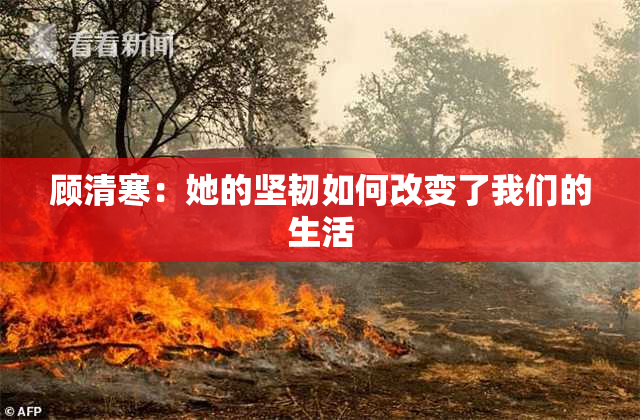 顾清寒：她的坚韧如何改变了我们的生活