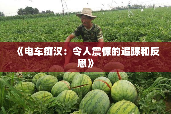 《电车痴汉：令人震惊的追踪和反思》