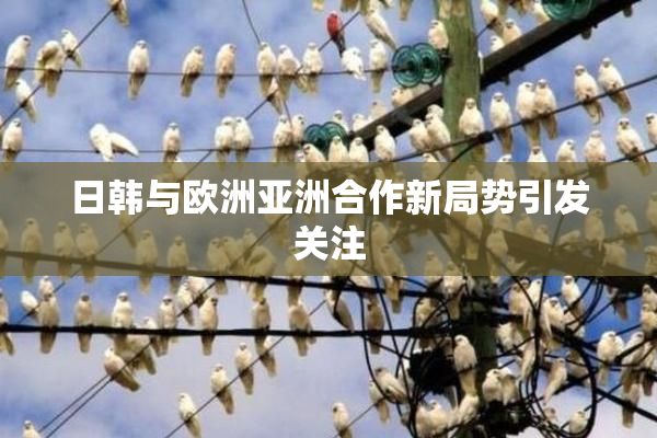 日韩与欧洲亚洲合作新局势引发关注