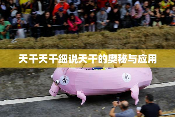 天干天干细说天干的奥秘与应用