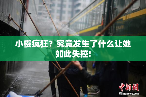小樱疯狂？究竟发生了什么让她如此失控!