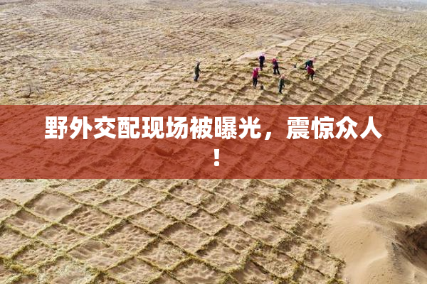 野外交配现场被曝光，震惊众人！