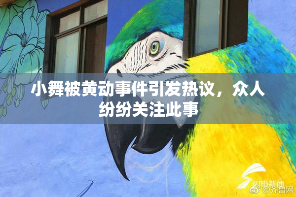 小舞被黄动事件引发热议，众人纷纷关注此事