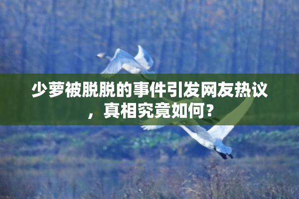 少萝被脱脱的事件引发网友热议，真相究竟如何？