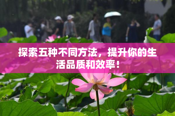 探索五种不同方法，提升你的生活品质和效率！