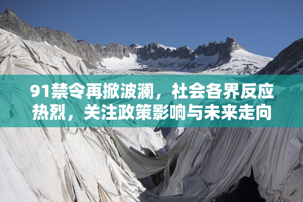91禁令再掀波澜，社会各界反应热烈，关注政策影响与未来走向