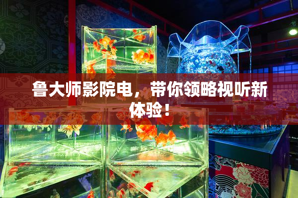 鲁大师影院电，带你领略视听新体验！