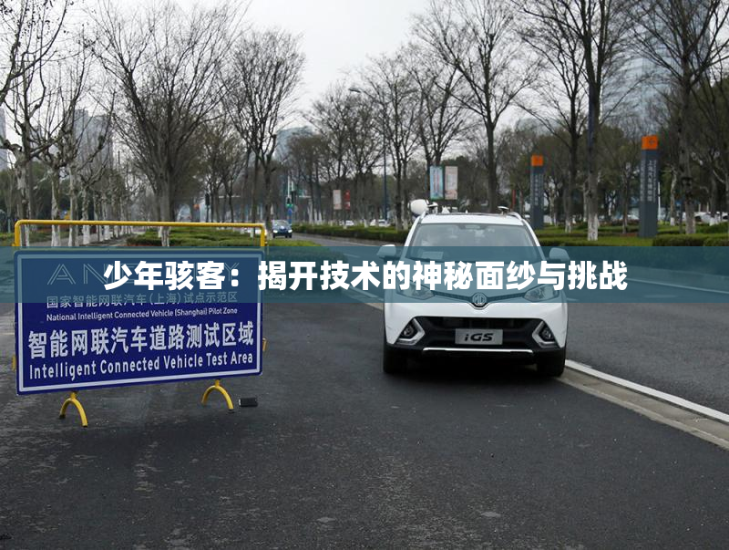 少年骇客：揭开技术的神秘面纱与挑战