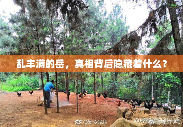 乱丰满的岳，真相背后隐藏着什么？