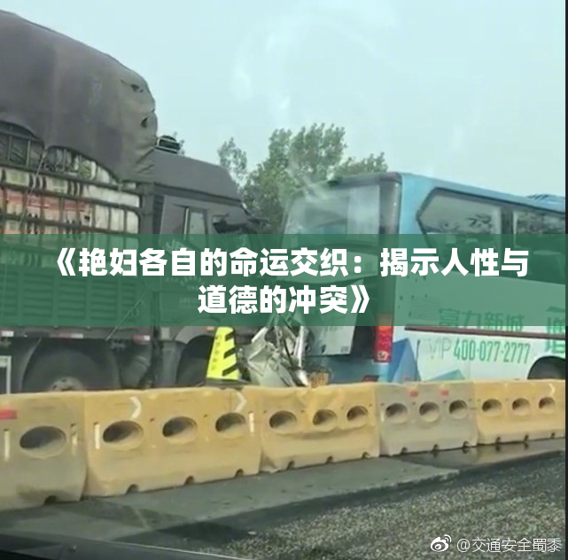 《艳妇各自的命运交织：揭示人性与道德的冲突》