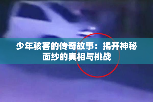 少年骇客的传奇故事：揭开神秘面纱的真相与挑战