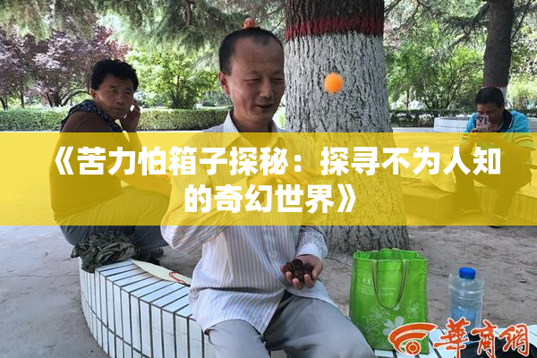 《苦力怕箱子探秘：探寻不为人知的奇幻世界》
