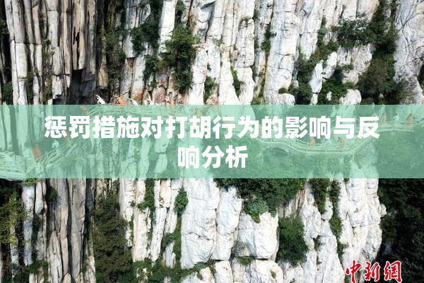 惩罚措施对打胡行为的影响与反响分析
