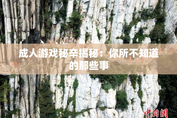 成人游戏秘辛揭秘：你所不知道的那些事