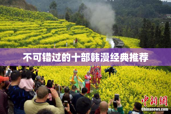 不可错过的十部韩漫经典推荐