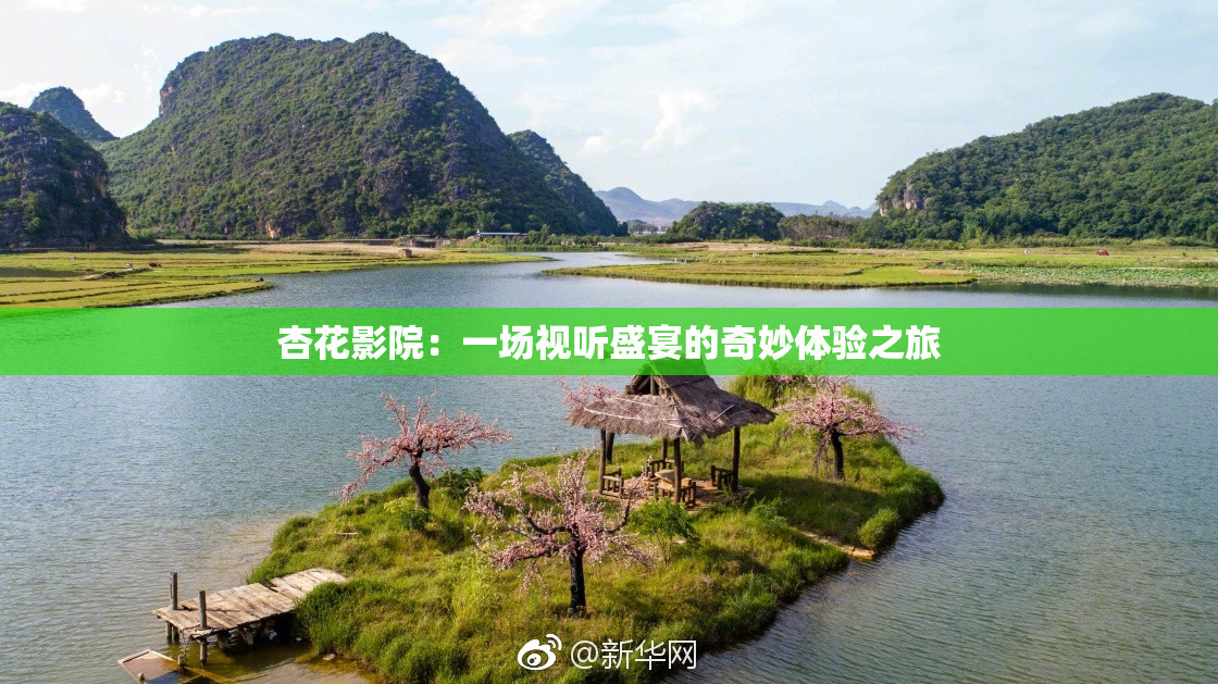 杏花影院：一场视听盛宴的奇妙体验之旅