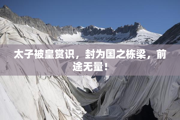 太子被皇赏识，封为国之栋梁，前途无量！
