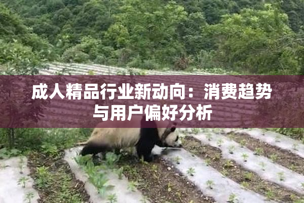 成人精品行业新动向：消费趋势与用户偏好分析