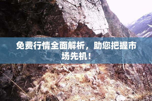 免费行情全面解析，助您把握市场先机！