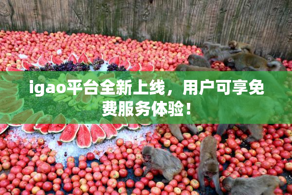 igao平台全新上线，用户可享免费服务体验！
