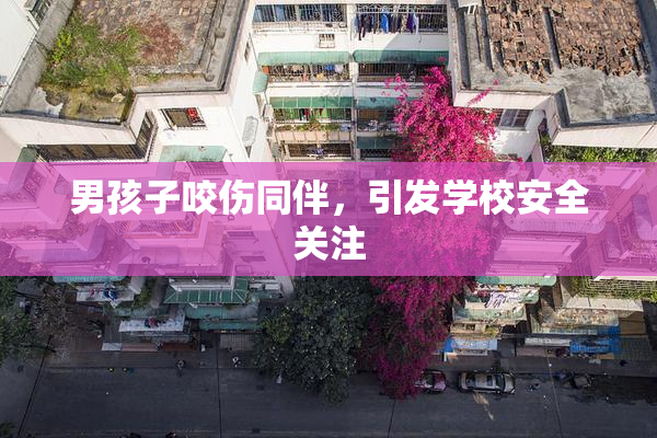 男孩子咬伤同伴，引发学校安全关注