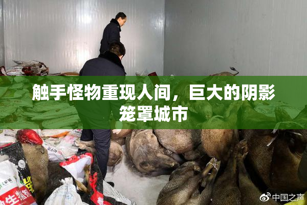 触手怪物重现人间，巨大的阴影笼罩城市
