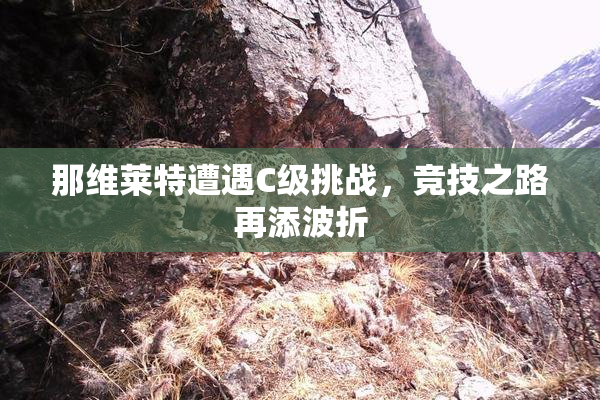 那维莱特遭遇C级挑战，竞技之路再添波折